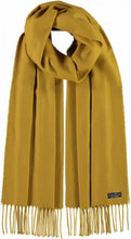 Load image into Gallery viewer, Fraas Solid Cashmink Feel Scarf
